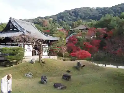 高台寺（高台寿聖禅寺・高臺寺）(京都府)