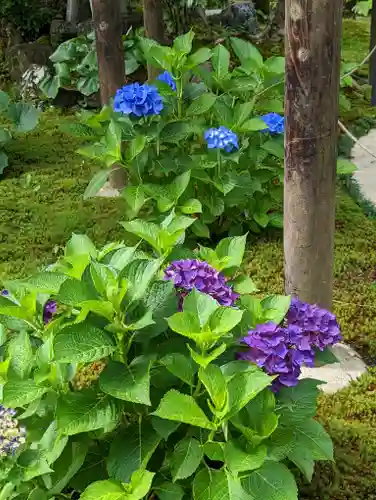 一條殿 新善光寺(京都府)