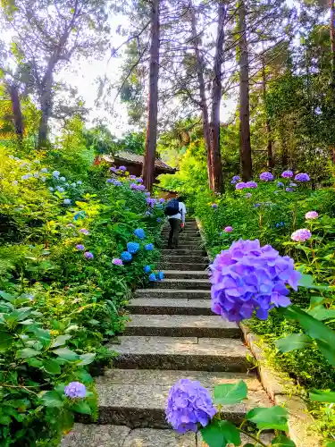 本光寺のその他建物