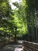 宝珠山 観泉寺の庭園