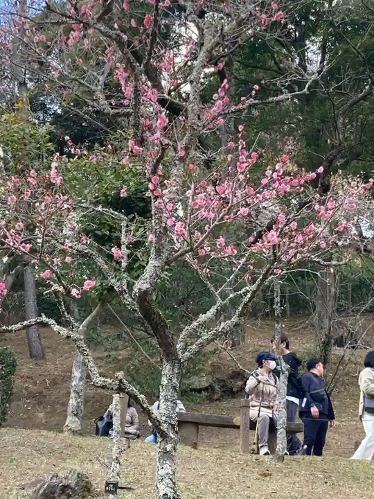 成田山新勝寺(千葉県)
