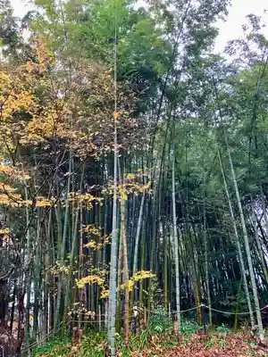 太平山三吉神社総本宮(秋田県)