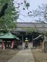 法華経寺の{uncategorized: "未分類", other: "その他", undefined: "問題あり", building: "その他建物", grave: "お墓", sacred_gate: "鳥居", guardian: "狛犬", statue: "像", buddha: "仏像", history: "歴史", nature: "自然", garden: "庭園", animal: "動物", pagoda: "塔", temizu: "手水舎", mountain_gate: "山門・神門", sanctuary: "本殿・本堂", subordinate: "末社・摂社", art: "芸術", scenery: "景色", jizo: "地蔵", ema: "絵馬", goshuin: "御朱印", omikuji: "おみくじ", items: "授与品その他", amulet: "お守り", goshuincho: "御朱印帳", eats: "食事", festival: "お祭り", votive_dance: "神楽", shichigosan: "七五三参", wedding: "結婚式", experience: "体験その他", initially: "初詣", around: "周辺", anti_infection: "感染症対策"}