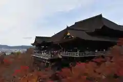 清水寺(京都府)