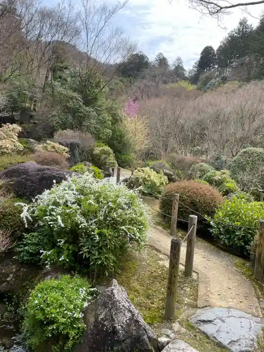 三室戸寺(京都府)