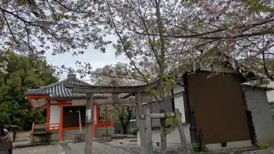 圓藏院(円蔵院)(京都府)