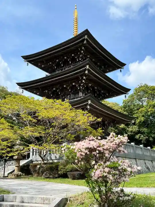 村松虚空蔵尊(村松山虚空蔵堂)(茨城県)