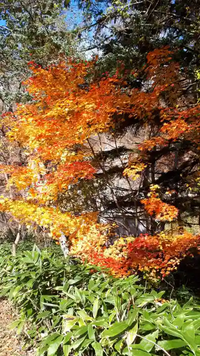 西の里神社の景色