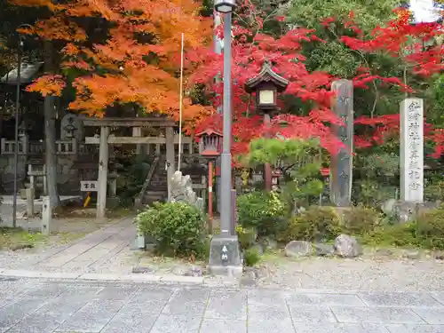 針綱神社の鳥居