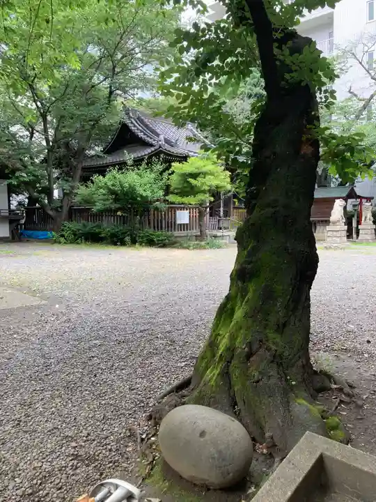 御園神社(東京都)