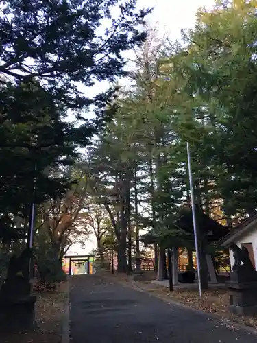 大谷地神社の鳥居