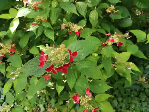 延算寺(岐阜県)