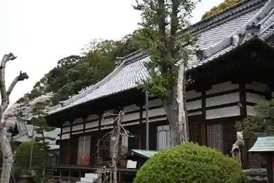 鉄舟寺の本殿・本堂