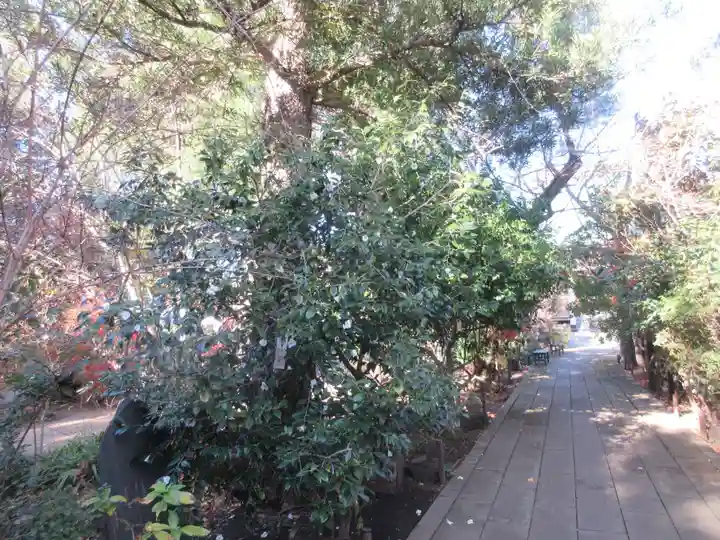 龍峰寺(神奈川県)