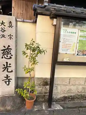 慈光寺(愛知県)