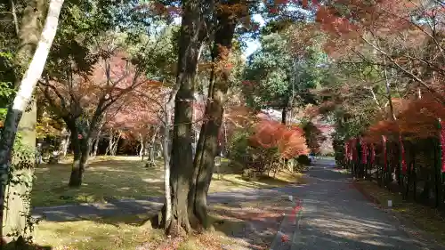 醍醐寺の{uncategorized: "未分類", other: "その他", undefined: "問題あり", building: "その他建物", grave: "お墓", sacred_gate: "鳥居", guardian: "狛犬", statue: "像", buddha: "仏像", history: "歴史", nature: "自然", garden: "庭園", animal: "動物", pagoda: "塔", temizu: "手水舎", mountain_gate: "山門・神門", sanctuary: "本殿・本堂", subordinate: "末社・摂社", art: "芸術", scenery: "景色", jizo: "地蔵", ema: "絵馬", goshuin: "御朱印", omikuji: "おみくじ", items: "授与品その他", amulet: "お守り", goshuincho: "御朱印帳", eats: "食事", festival: "お祭り", votive_dance: "神楽", shichigosan: "七五三参", wedding: "結婚式", experience: "体験その他", initially: "初詣", around: "周辺", anti_infection: "感染症対策"}