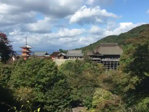 清水寺の景色