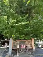 熊野大社(山形県)