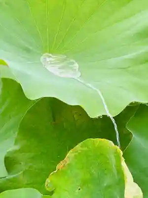 東寺（教王護国寺）(京都府)