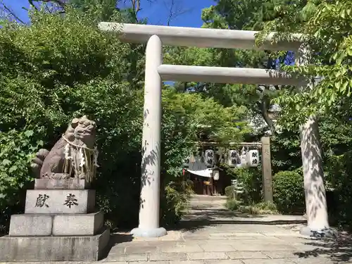 堀越神社の鳥居