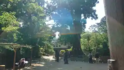 筑波山神社(茨城県)