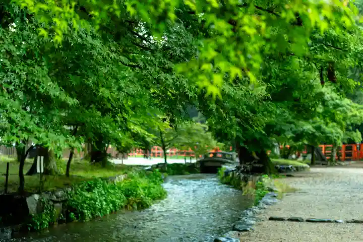 賀茂別雷神社(上賀茂神社)(京都府)