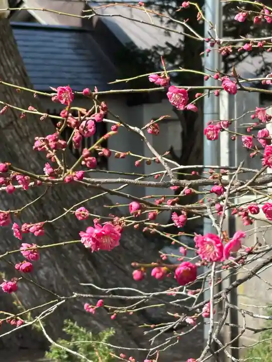 豊平神社の{uncategorized: "未分類", other: "その他", undefined: "問題あり", building: "その他建物", grave: "お墓", sacred_gate: "鳥居", guardian: "狛犬", statue: "像", buddha: "仏像", history: "歴史", nature: "自然", garden: "庭園", animal: "動物", pagoda: "塔", temizu: "手水舎", mountain_gate: "山門・神門", sanctuary: "本殿・本堂", subordinate: "末社・摂社", art: "芸術", scenery: "景色", jizo: "地蔵", ema: "絵馬", goshuin: "御朱印", omikuji: "おみくじ", items: "授与品その他", amulet: "お守り", goshuincho: "御朱印帳", eats: "食事", festival: "お祭り", votive_dance: "神楽", shichigosan: "七五三参", wedding: "結婚式", experience: "体験その他", initially: "初詣", around: "周辺", anti_infection: "感染症対策"}