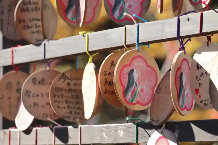 隨心院(随心院)の絵馬