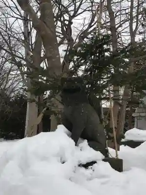 信濃神社の狛犬