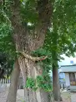 白山神社(福井県)