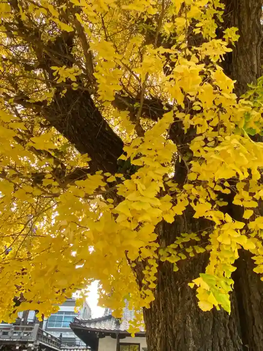 佛光寺(京都府)