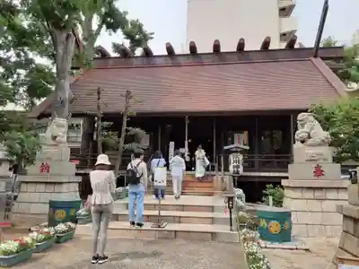 高円寺氷川神社の本殿・本堂