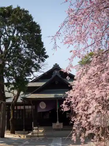 猿田彦神社(東京都)