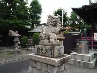 子安八幡神社(北糀谷)の狛犬