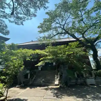 養玉院如来寺(東京都)
