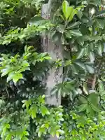 直指山 見性寺(愛知県)