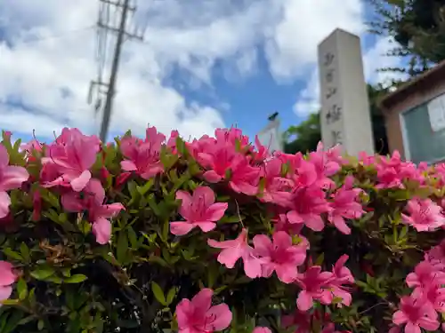 西方山極楽寺(岐阜県)