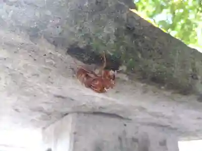気比神社(福井県)