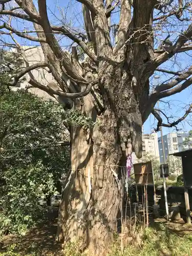 磐井神社の周辺