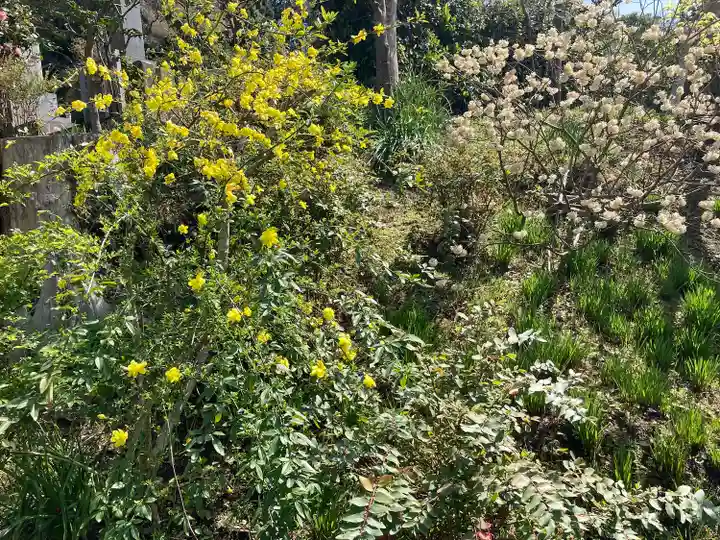 来迎寺(西御門)(神奈川県)