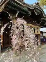 百舌鳥八幡宮の{uncategorized: "未分類", other: "その他", undefined: "問題あり", building: "その他建物", grave: "お墓", sacred_gate: "鳥居", guardian: "狛犬", statue: "像", buddha: "仏像", history: "歴史", nature: "自然", garden: "庭園", animal: "動物", pagoda: "塔", temizu: "手水舎", mountain_gate: "山門・神門", sanctuary: "本殿・本堂", subordinate: "末社・摂社", art: "芸術", scenery: "景色", jizo: "地蔵", ema: "絵馬", goshuin: "御朱印", omikuji: "おみくじ", items: "授与品その他", amulet: "お守り", goshuincho: "御朱印帳", eats: "食事", festival: "お祭り", votive_dance: "神楽", shichigosan: "七五三参", wedding: "結婚式", experience: "体験その他", initially: "初詣", around: "周辺", anti_infection: "感染症対策"}