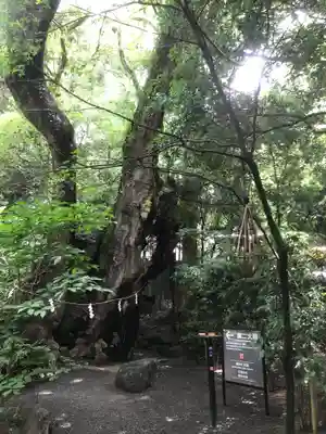 來宮神社(静岡県)