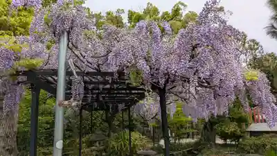 辛國神社(大阪府)
