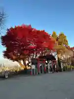 愛宕神社(宮城県)