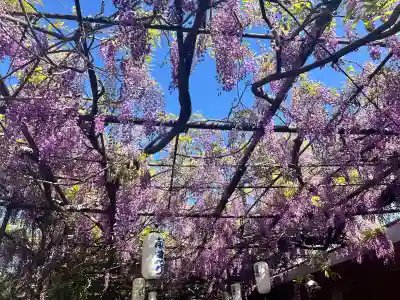 市場稲荷神社(大阪府)