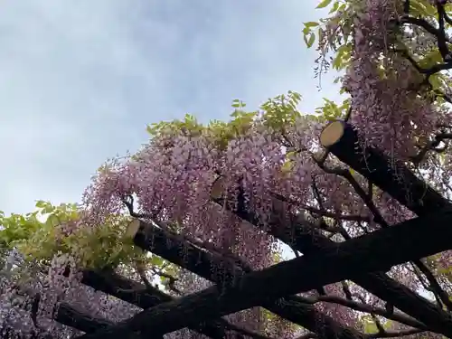 玉敷神社の庭園