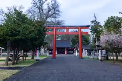 北海道護國神社の鳥居