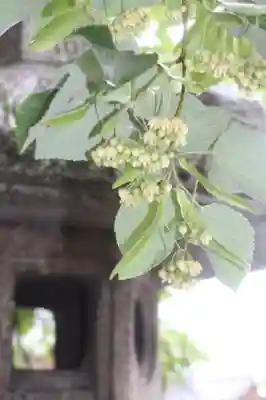 くろ谷 金戒光明寺(京都府)
