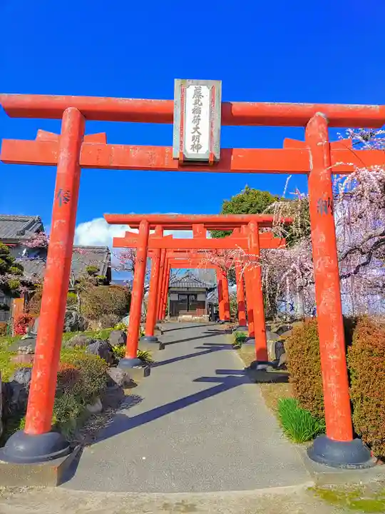 藤丸稲荷大明神の鳥居
