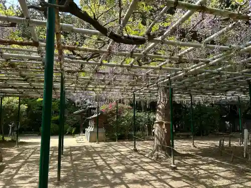 住吉神社(兵庫県)